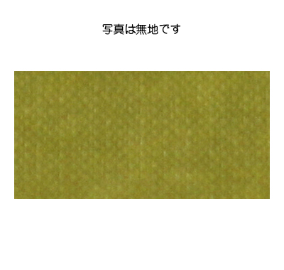 ワーロンシート　[鶸萌葱・ひわもえぎ]　板厚(0.2ミリ) 930×1850