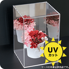 背面ミラーケース