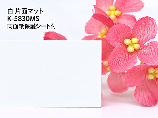 塩ビ板