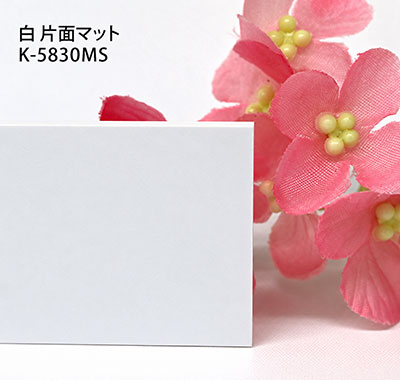 塩ビ板