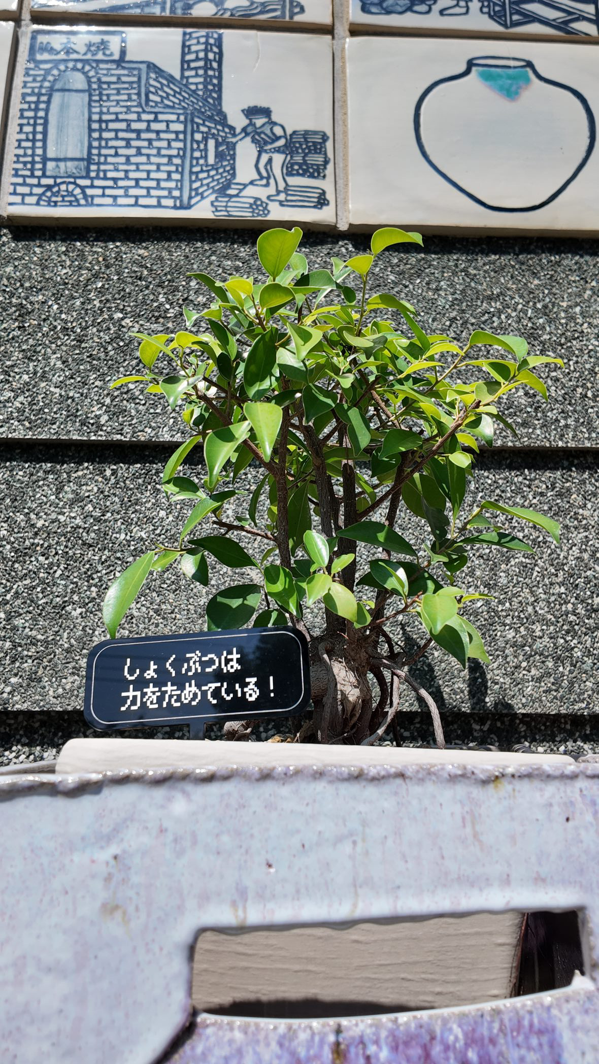 植物にさす看板