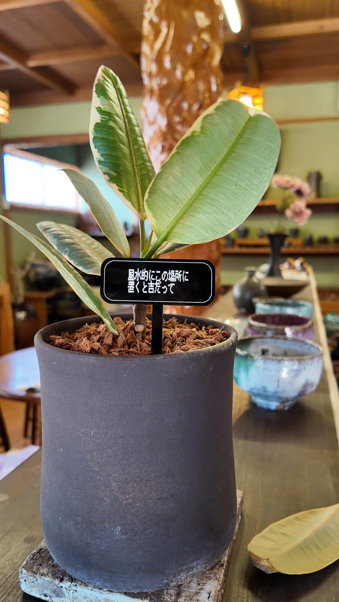 植物にさす看板