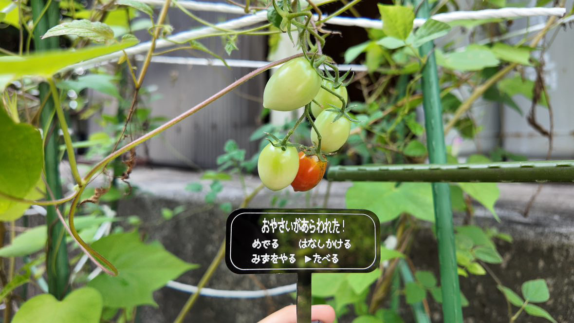 植物にさす看板