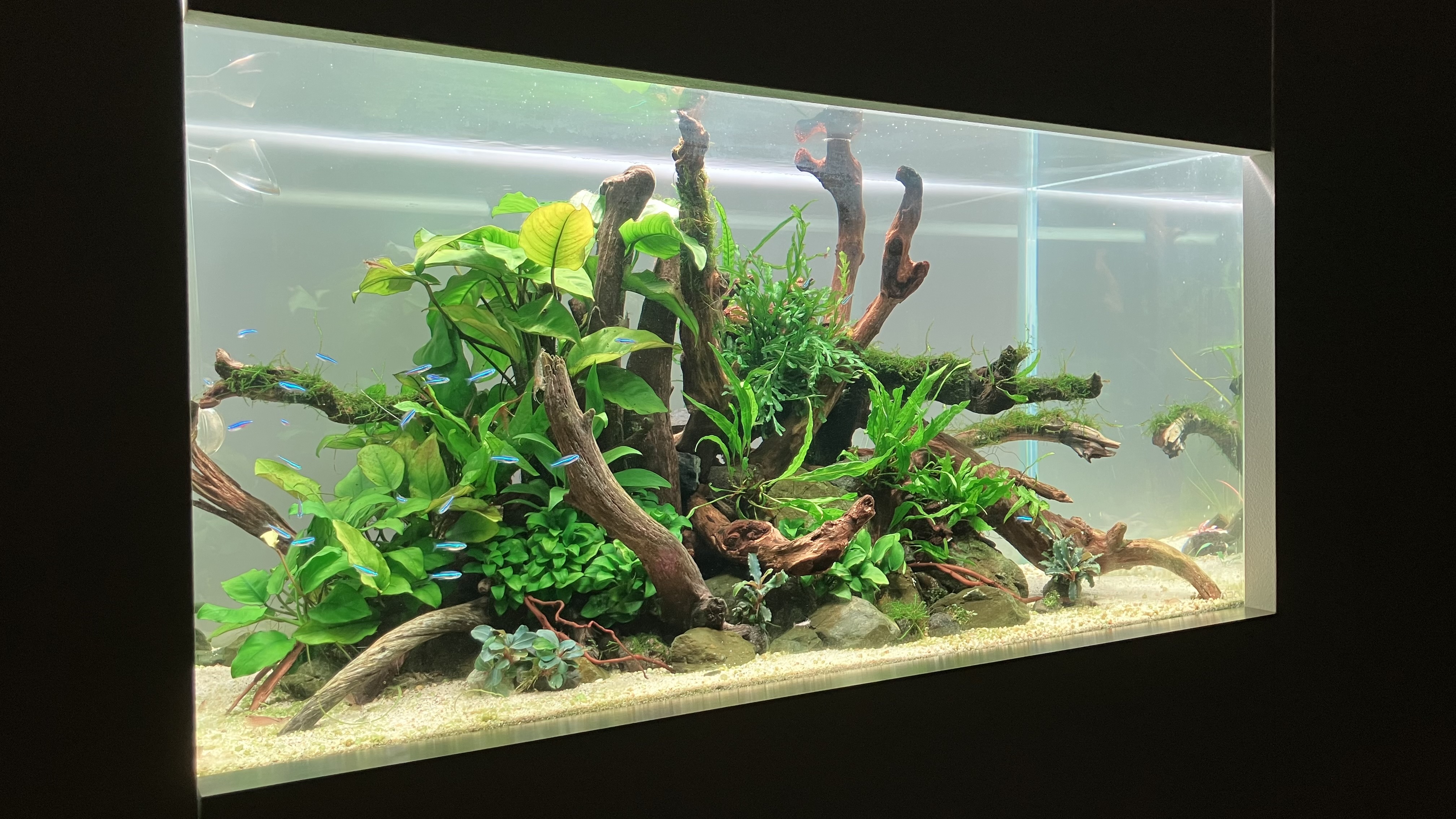 90cm水槽用のバックスクリーン