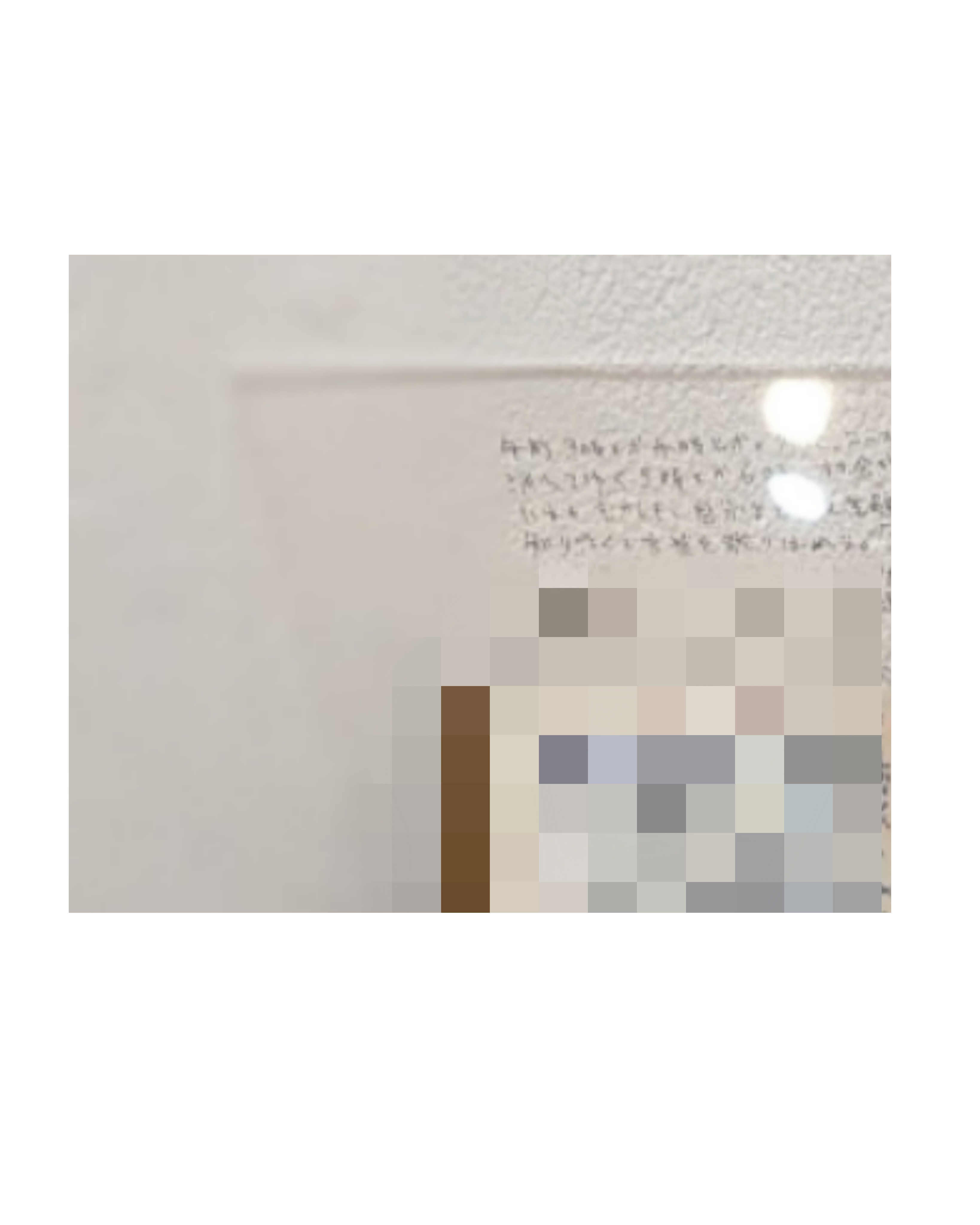 展示