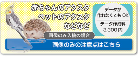画像の注意