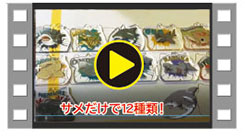 SDGs動画