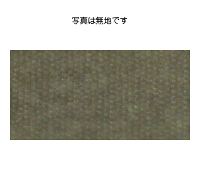 ワーロンシート　[淡水色・うすみずいろ]　板厚(0.2ミリ) 606×930